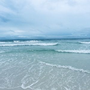 Meet your Posher, Riley